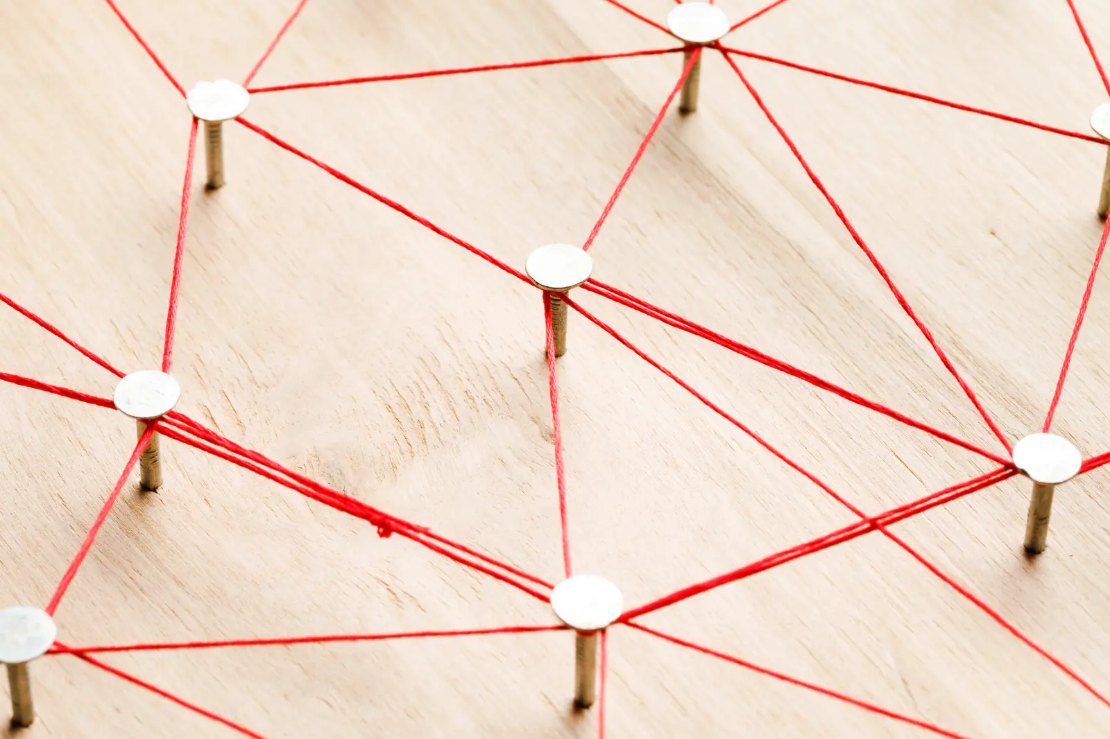 Cooperation Partners and Committees