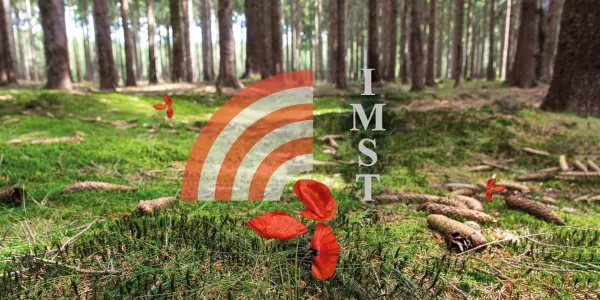 Project 'Waldboden 4.0'