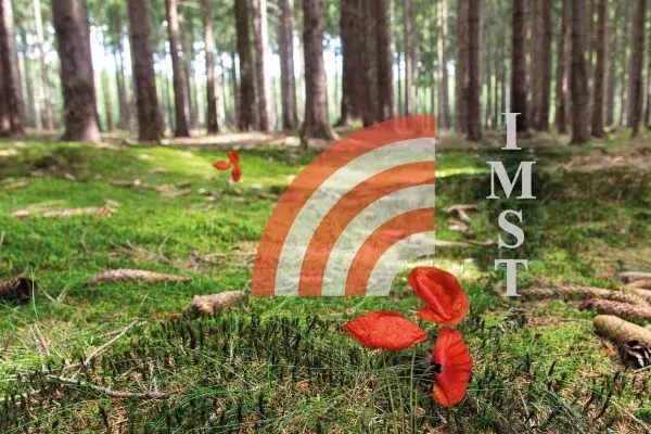 Project 'Waldboden 4.0'